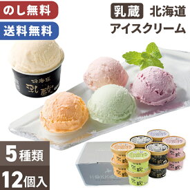 北海道 アイスクリーム セット 乳蔵 ギフト 12個入 のし無料 送料無料 【メーカー直送】（※北海道・沖縄・離島への配送不可） 北海道アイス ハスカップ メロン バニラ 5000円 詰め合わせ お取り寄せ 有名 アソート セット 洋菓子 内祝い お礼 プレゼント 贈り物 お返し