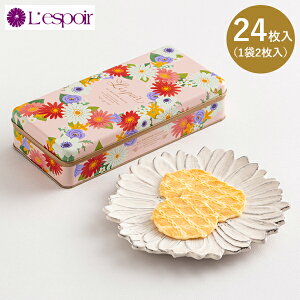 _˕ X|[ L12SN َq XC[c mَq Lespoir o^[NbL[ 24 12 12  v`Mtg v[g 蕨