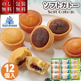 ＼のし・ギフト包装無料／ 贈答用お菓子 中山製菓 ソフトガトー 12個 SFT-12贈答品 個包装 お菓子詰め合わせ スイーツ 洋菓子 常温 焼菓子 ギフト 手土産 帰省土産 お祝い 内祝い お礼 出産祝 結婚内祝 出産内祝 快気祝 新築祝 プレゼント プチギフト 贈り物 2000円