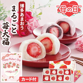 苺大福 母の日 和菓子 京都 養老軒 博多あまおう ごろっと いちご大福 8個入【メーカー直送】 母の日ギフト 2026 苺だいふく 高級 お取り寄せ 絶品 お菓子 スイーツ 大福 取り寄せ 有名店 プレゼント お母さん 母親 感謝 贈り物 義母 喜ばれる 人気 50代 60代 70代