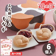 最中 母の日 三毛猫 づつみ 粒あん こしあん 【メーカー直送】 母の日ギフト 2026 和菓子 京都 有名店 取…