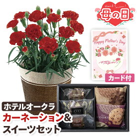 母の日 花 スイーツ カーネーション ホテルオークラ 焼菓子セット アソート 鉢植え 4号 【メーカー直送】 母の日ギフト 2026 定番 クッキー 高級 ホテル お花 鉢植 レッド 生花 鉢 プレゼント 可愛い お母さん 母親 感謝 贈り物 義母 喜ばれる おしゃれ ははの日 5500円