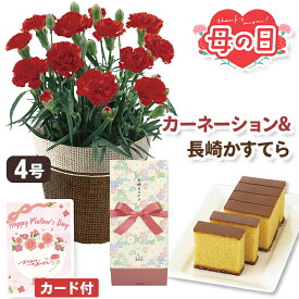母の日 和菓子 花 セット カーネーション 長崎カステラ 鉢植え 4号 【メーカー直送】 母の日ギフト 2026 カード付き カステーラ 可愛い お花 鉢植 レッド 赤 生花 鉢 かすてら プレゼント 可愛い お母さん 母親 感謝 贈り物 義母 喜ばれる おしゃれ ははの日 送料無料