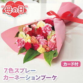 母の日 花束 カーネーション ブーケ ギフト 生花 7色 スプレーカーネーション 【メーカー直送】 おしゃれ 可愛い 珍しい プレゼント 義母 実母 60代 70代 女性 高級感 ボリューム ラッピング メッセージカード付き 送料無料 フラワーギフト 2026 喜ばれる 人気 3500円