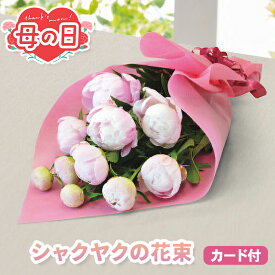 芍薬 母の日 早割 花束 ブーケ ギフト シャクヤク の花束 【メーカー直送】 おしゃれ 可愛い 華やか 珍しい 上品 洋シャクヤク プレゼント 義母 実母 60代 70代 女性 高級感 ボリューム ラッピング メッセージカード 送料無料 フラワーギフト 2026 喜ばれる 6000円