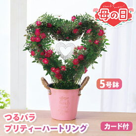母の日 早割 つるバラ 鉢植え 5号鉢 【メーカー直送】 バラ 鉢植 花鉢植え 送料無料 ハート型 可愛い インテリア フラワー お花 鉢植 5号 カーネーション以外 珍しい 人気 プレゼント 珍しい花 売れ筋 カード付き 長持ち 可愛い 定番 お母さん 母親 感謝 贈り物