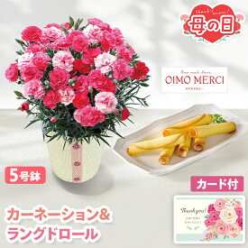 母の日 花 スイーツ セット カーネーション ラングドロール オイモメルシー さくらもなか 鉢植え 5号 【メーカー直送】 母の日ギフト 2026 ラングドシャ スィーツ お花 鉢植 生花 プレゼント 可愛い お母さん 母親 感謝 贈り物 義母 喜ばれる おしゃれ ははの日 5000円
