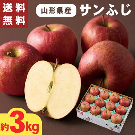 山形県産 サンふじ 約3キロ 11～14個 お歳暮 ギフト 【メーカー直送】（出荷期間:11/15頃から12/26前後まで） りんご 山形県 高級 林檎 ふじ 3kg 国産 リンゴ 果物 フルーツ 御歳暮 お祝い 内祝 お礼 御礼 御祝 御供 贈答用 贈り物 送料無料 直送 フルーツギフト 4000円