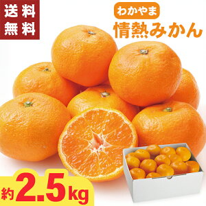 킩܏M݂ 2.5L L`STCY Ε Mtg y[J[zio׊:11/2012/20O܂Łj ݂ a̎RY  MTCY STCY LTCY  a̎R Y ~J 