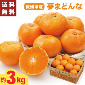愛媛県産 夢まどんな 約3キロ Mサイズ Sサイズ お歳暮 ギフト 【メーカー直送】（出荷期間:12/10頃から12/26前後まで） みかん 愛媛県 高級 Mサイズ Sサイズ 蜜柑 愛媛 国産 ミカン 果物 フルーツ 御歳暮 御供 贈答用 贈り物 送料無料 直送 フルーツギフト 大容量 3kg