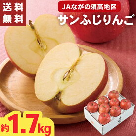 サンふじりんご JAながの 須高地区 約1.7キロ 8個 お歳暮 ギフト 【メーカー直送】（出荷期間:11/25頃から12/26前後まで） りんご 長野県産 高級 林檎 ふじ 国産 リンゴ 果物 フルーツ 御歳暮 お祝い お礼 御礼 御供 贈答用 贈り物 送料無料 直送 フルーツギフト 4000円