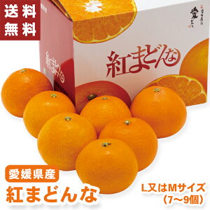 g܂ǂ QY Ε Mtg y[J[zio׊:11/2512/26O܂Łj ݂ Q  Ђ MTCY LTCY  Q ܂ǂ Y ~J ʕ t[c Ε