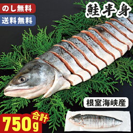 お歳暮 鮭半身 根室海峡産 750g のし無料 送料無料【メーカー直送】 鮭 北海道産 冷凍 根室 国産 切身 根室沖 切り身 お正月 新年 おせち 年末年始 海鮮 お節料理 御歳暮 おせち料理 お祝い 内祝 お礼 お歳暮ギフト2025 高級 贈り物 出産内祝 返礼 御祝 5000円以内