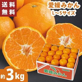 愛媛みかん 約3キロ L～Sサイズ お歳暮 ギフト 【メーカー直送】 みかん 愛媛県産 高級 Mサイズ Sサイズ Lサイズ 蜜柑 愛媛 3kg 国産 ミカン 果物 フルーツ 御歳暮 お祝い 内祝い お礼 御礼 御祝 御供 贈答用 プレゼント 贈り物 送料無料 直送 フルーツギフト 4000円
