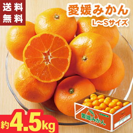 愛媛みかん 約4.5kg 愛媛県産 お歳暮 ギフト 【メーカー直送】（出荷期間:11/15頃から12/26前後まで） みかん 大容量 愛媛県 高級 えひめ Mサイズ Lサイズ 蜜柑 愛媛 国産 ミカン 果物 フルーツ 御歳暮 お祝い 御礼 御供 贈り物 フルーツギフト 冬ギフト 送料無料