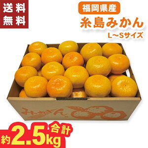 ݂ Y 2.5kg Ε Mtg y[J[zio׊:11/1512/26O܂Łj ݂  e 4000~  LTCY MTCY STCY  Y ~J ʕ t[c 