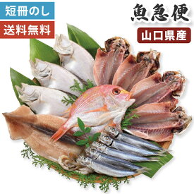 【お歳暮 2026】干物 魚急便 山口産 海匠國近 5種 19枚 お歳暮ギフト 【メーカー直送】 国産 おつまみ 山口県 高級 海鮮 国近商店 老舗 あじ かれい 連子鯛 うるめ するめいか 魚 さかな お取り寄せ 惣菜 簡単調理 おかず 冷凍 おそうざい グルメ うるめ丸干し 6000円