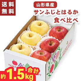 サンふじ はるか 食べ比べセット 山形県産 約1.5キロ 6個 お歳暮 ギフト 【メーカー直送】（出荷期間:12/5頃から12/26前後まで） りんご 食べ比べ 高級 林檎 ふじ 国産 フジ リンゴ 果物 フルーツ 御歳暮 御供 贈答用 贈り物 送料無料 直送 フルーツギフト 3500円