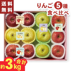 りんご 5種 食べ比べセット 約3キロ 12個 お歳暮 ギフト 【メーカー直送】(出荷期間:11/15頃から12/26前後まで) サンふじ 王林 シナノスイート ぐんま名月 ジョナゴールド 食べ比べ 林檎 国産