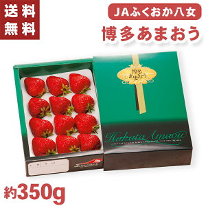 ܂ JAӂ Y 350g Ε Mtg y[J[zio׊:12/112/26O܂Łj t[cMtg ܂  C`S p ʕMtg Y ʕ t[c