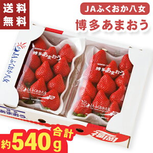 Ε Mtg ܂ JAӂ Y 2 540g y[J[zio׊:12/112/26O܂Łj t[cMtg ܂  C`S p ʕMtg Y ʕ t
