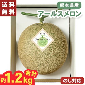 お歳暮 アールスメロン 熊本県産 約1.2kg ギフト 【メーカー直送】（出荷期間:11/15頃から12/26前後まで） フルーツギフト メロン お歳暮ギフト めろん 贈答用 果物ギフト 国産 果物 フルーツ 大容量 御歳暮 御供 贈答用 贈り物 送料無料 4000円 2025 御供物 常温