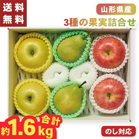 お歳暮 3種の果実 詰合せ 山形県産 約1.6キロ 6個 【メーカー直送】（出荷期間:11/15頃から12/26前後まで） サンふじ ラフランス シナノゴールド 食べ比べ 林檎 国産 リンゴ 洋梨 フルーツギフト 果物 フルーツ 大容量 御歳暮 御供 贈答用 贈り物 送料無料 4000円