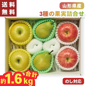 Ε 3̉ʎ l R`Y 1.6L 6 y[J[zio׊:11/1512/26O܂Łj Tӂ tX VimS[h Hה ь Y S m t[cMtg