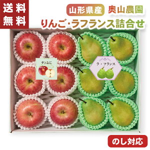 Ε R_  tX l R`Y 12 y[J[zio׊:11/1512/20O܂Łj Tӂ tX ь Y S m tW TtW t[cMtg 