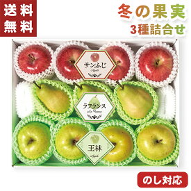 お歳暮 冬の果実3種 詰合せ 11個 【メーカー直送】（出荷期間:11/15頃から12/26前後まで） サンふじ ラフランス 王林 食べ比べ 林檎 国産 リンゴ 洋梨 フジ サンフジ フルーツギフト 果物 フルーツ 大容量 御歳暮 御供 贈答用 贈り物 送料無料 5000円 常温 果物ギフト