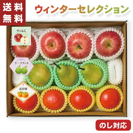 お歳暮 果物詰合せ ウィンターセレクション 11個 【メーカー直送】（出荷期間:11/15頃から12/26前後まで） サンふじ ラフランス 富有柿 セット 林檎 国産 リンゴ 洋梨 柿 フルーツギフト 果物 フルーツ 大容量 御歳暮 御供 贈答用 贈り物 送料無料 5000円 常温 冬ギフト