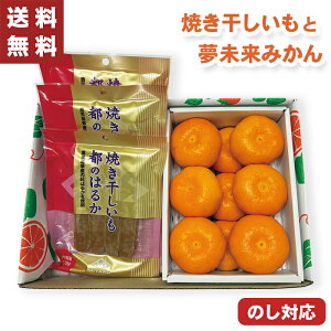 Ε Ă F{Y ݂ Zbg y[J[zio׊:11/1512/26O܂Łj  g͂邩  ݂  Y  t[cMtg ʕ t