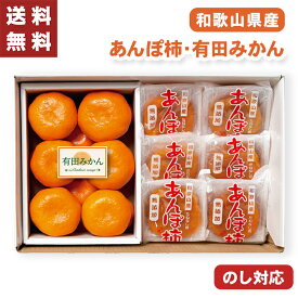 お歳暮 あんぽ柿 有田みかん セット 和歌山県 【メーカー直送】（出荷期間:11/15頃から12/26前後まで） 柿 みかん Lサイズ LLサイズ 和歌山県 国産 フルーツギフト かき 果物 フルーツ 御歳暮 御供 贈答用 贈り物 送料無料 御供物 5000円 常温 果物ギフト