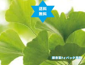 イチョウヨウ 銀杏葉茶 3Kg(1kg3袋) 高級焙煎TB用刻 無添加茶100％ 無農薬 中国産(国内加工)ノンカフェイン茶葉　No.22