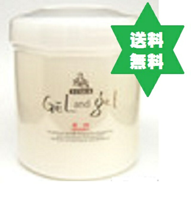 楽天市場】ゲルアンドゲルA ゲル＆ゲル薬用トリプルA 500g1個 送料 