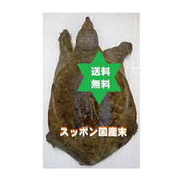 スッポンマツ　スッポン末 100g1袋 すっぽん粉末 国産滅菌無添加100％ 送込 純国産.副作用の心配が無い.滋養,美容.冷え性の方に