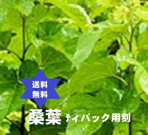 NE K̗t500g TB(3mmJbg)Y(Hn{)EŋۏρE_soiEYEJVE͏؂1.5{BXS No.1122