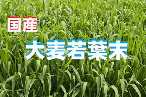 唞t 3kg (1kg3) t` 唞t `   JE H@ pE_[ 唞t Y Y ` q ؕs N` NhN N N 