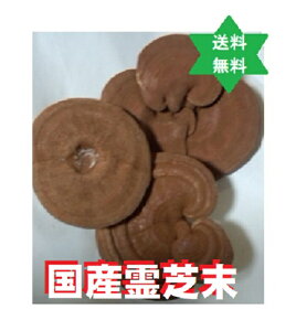 CV Ŗ150gY100%ЕSEYEX\kLEےtEX\kLEہE򒆋MdȃLmRB