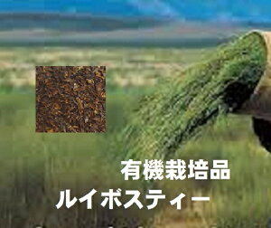 C{XeB- 500g1TBp3mm(eCobNp) ōX[p[OCh100%L@͔|EЕS Y ݂₷NEeBNo.615