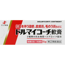 ドルマイ ドルマイコーチ軟膏 6g 外用薬 湿疹 皮膚炎 医薬品 医薬部外品 【あす楽対応】