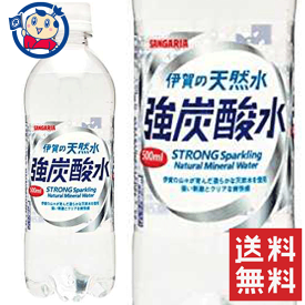 サンガリア 伊賀の天然水強炭酸水 500ml×24本入×2ケース