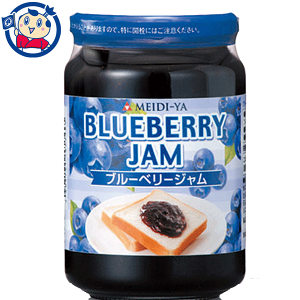 yܖF2027N19z t@~[^CvW u[x[ 390g×12×1P[X [J[Ï׍݌Ɍ̔