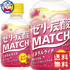 楽天市場 Match 炭酸 ゼリーの通販