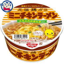 日清 チキンラーメンどんぶりミニ 38g×12個入×1ケース