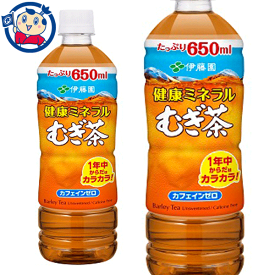 伊藤園 健康ミネラルむぎ茶 650ml×24本入×2ケース