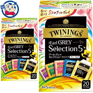 ЉY gCjO A[OCZNVt@Cu eB[obO 20P×24×1P[X