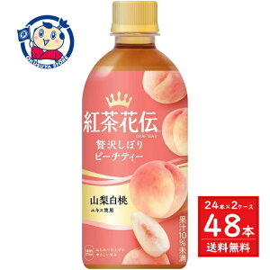 RJR[ gԓ`NteB[s[`eB[ 440ml×24{×2P[X