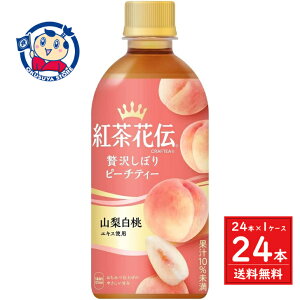 RJR[ gԓ`NteB[s[`eB[ 440ml×24{×1P[X