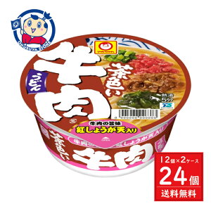 mY } Fǂ 87g×12×2P[X F2024N826